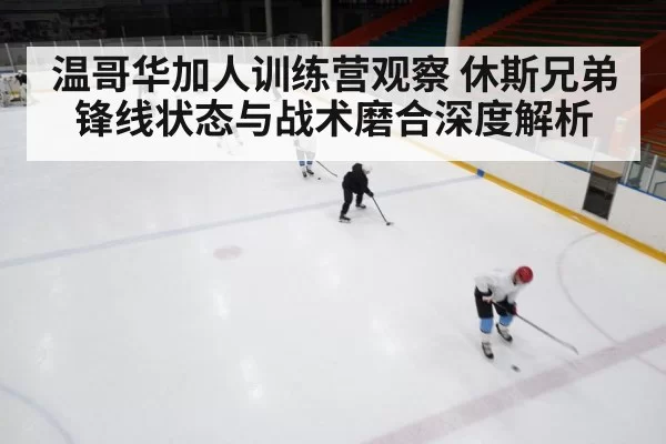 温哥华加人训练营观察 休斯兄弟锋线状态与战术磨合深度解析